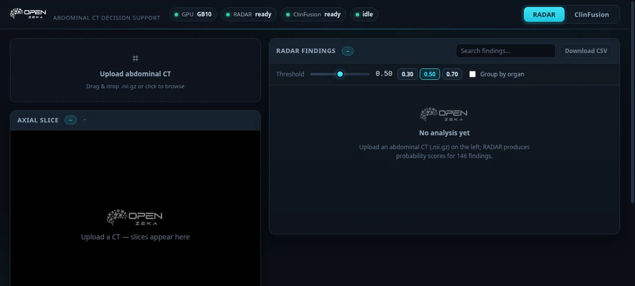 Portal on first load: upload area, slice viewer, and findings panel