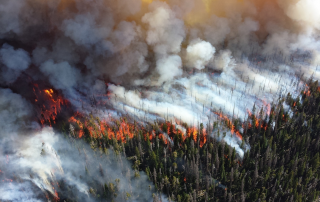 NVIDIA Inception program üyesi firmalardan olan OroraTech, geliştirdikleri orman yangını tespit ve gözetleme servisi ile bu sorunu doğrudan ele alıyor.